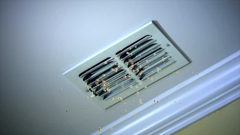 Best Commercial HVAC Duct Cleaning  in Faith, NC